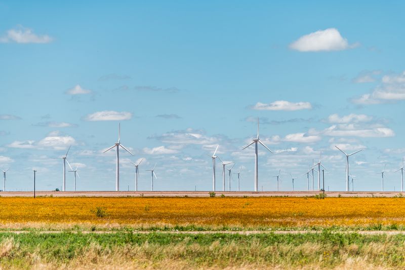 Wind turbine farm generator near Roscoe or Sweetwater Texas in USA in prairie with rows of many machines for energy