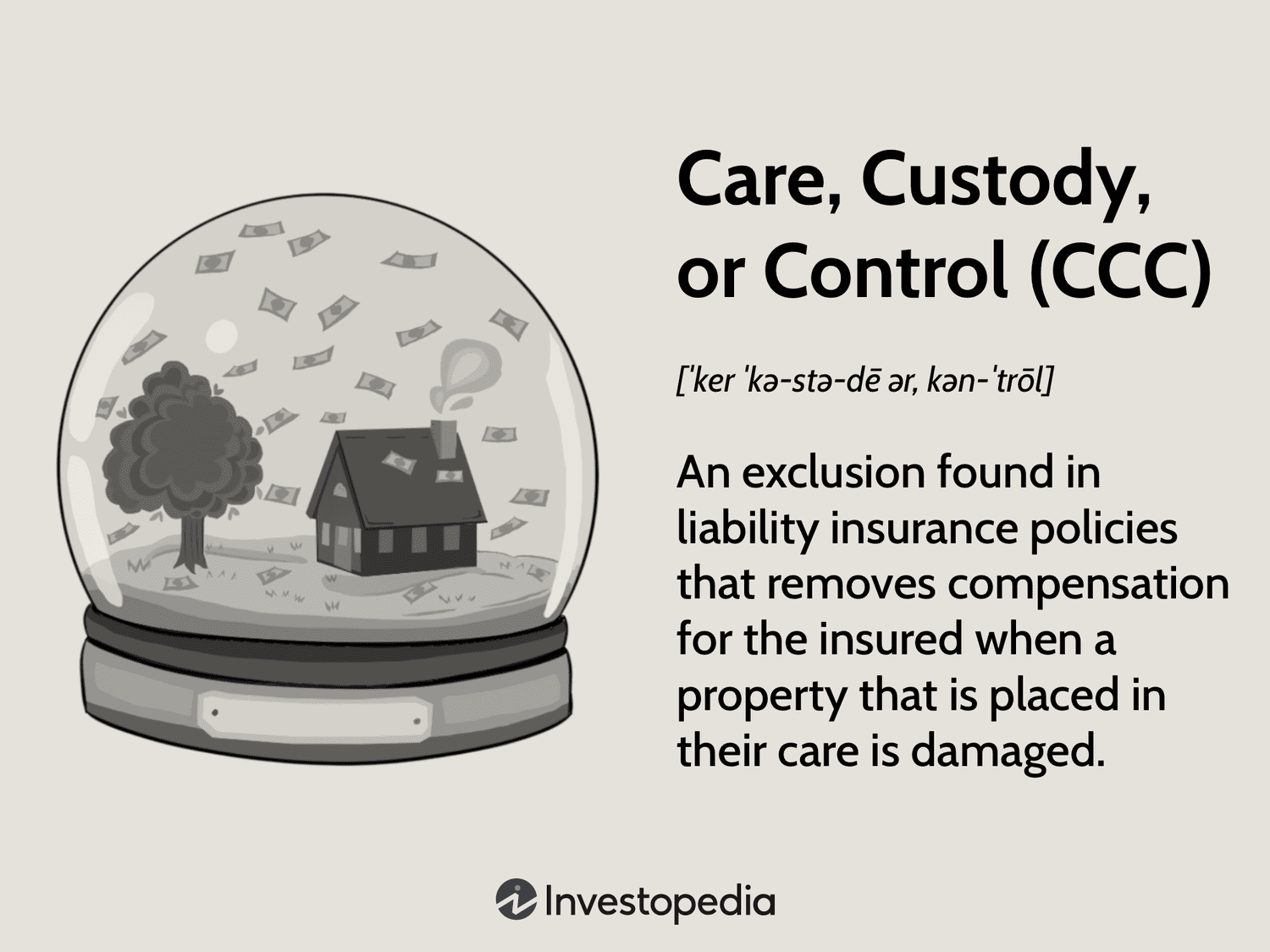 Care, Custody, or Control (CCC)