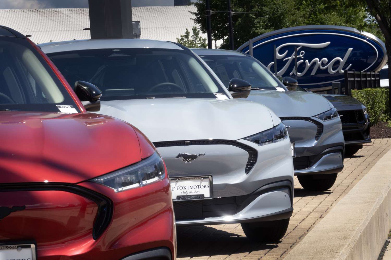 Ford vehicles