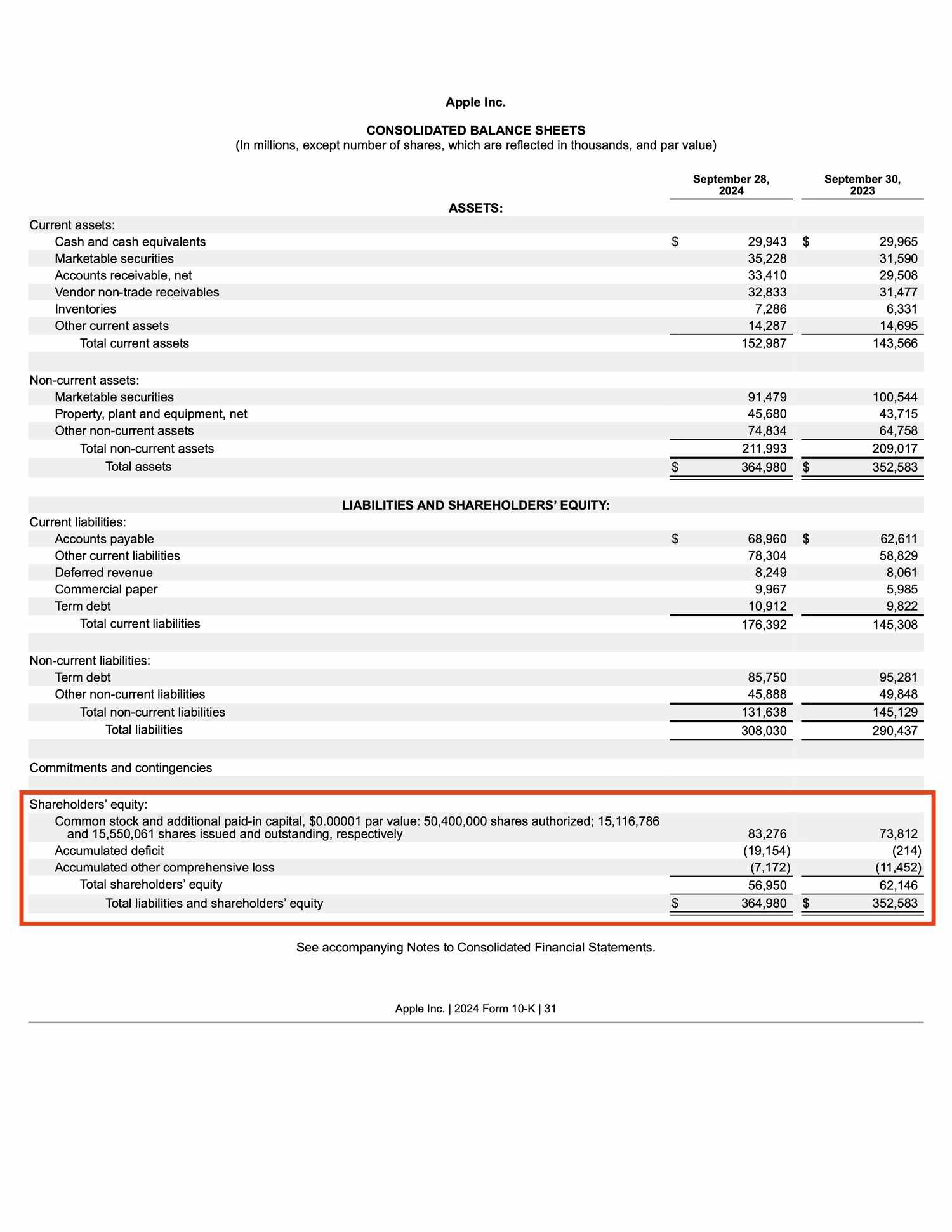 Apple's 2024 Balance Sheet with Shareholders' Equity Highlighted