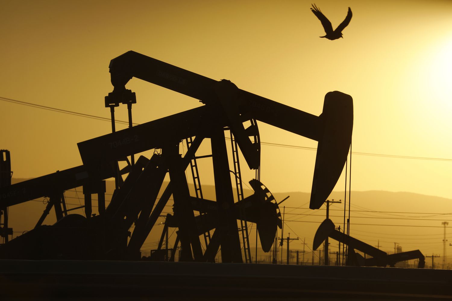 Oil field