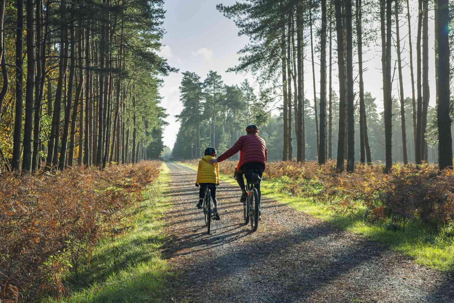 Father and child biking on a scenic trail.