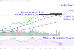 This image depicts the NVDA chart.