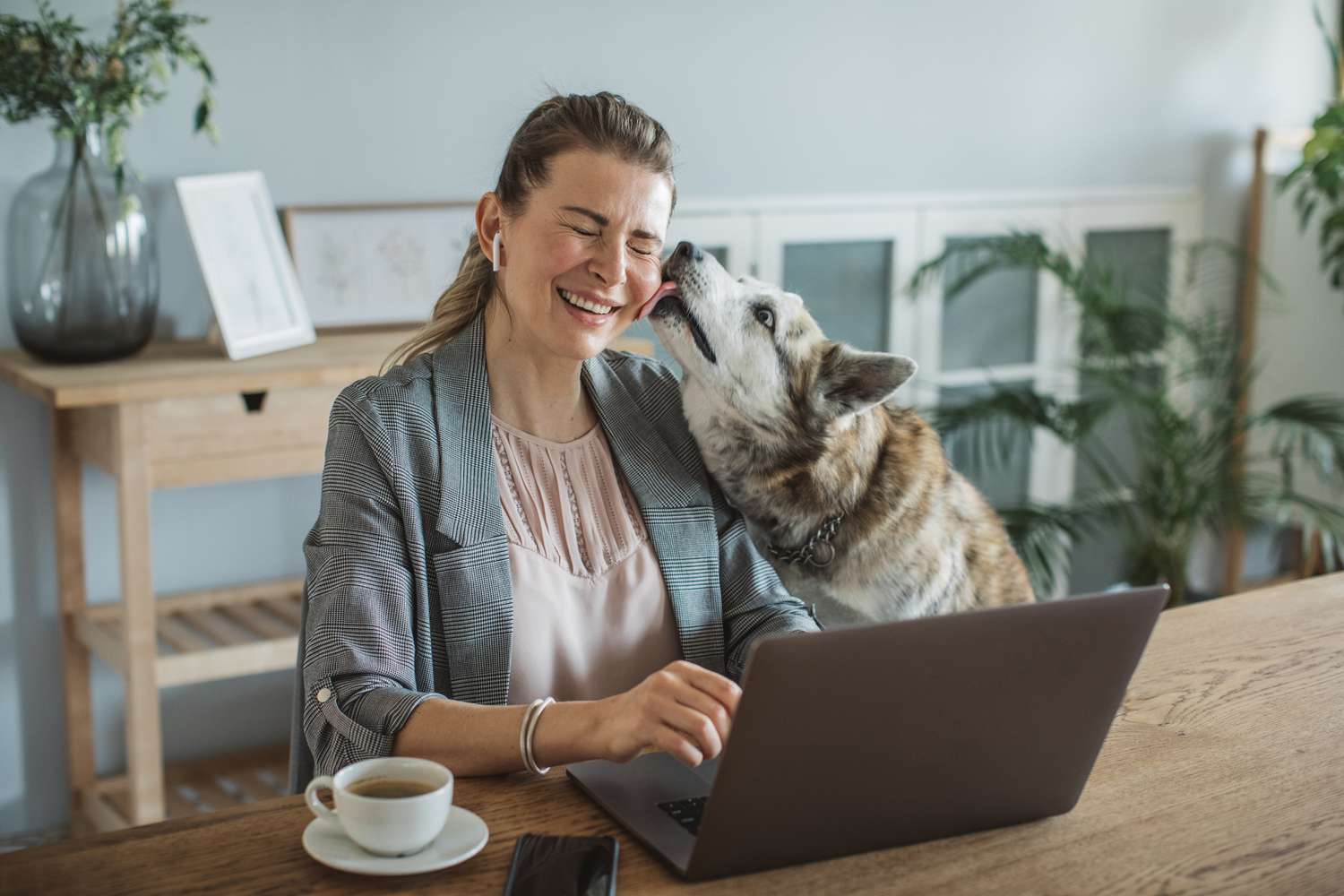 Woman working on her laptop, interrupted by her dog who licks her face.