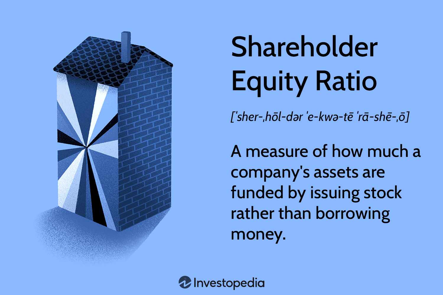 Shareholder Equity Ratio