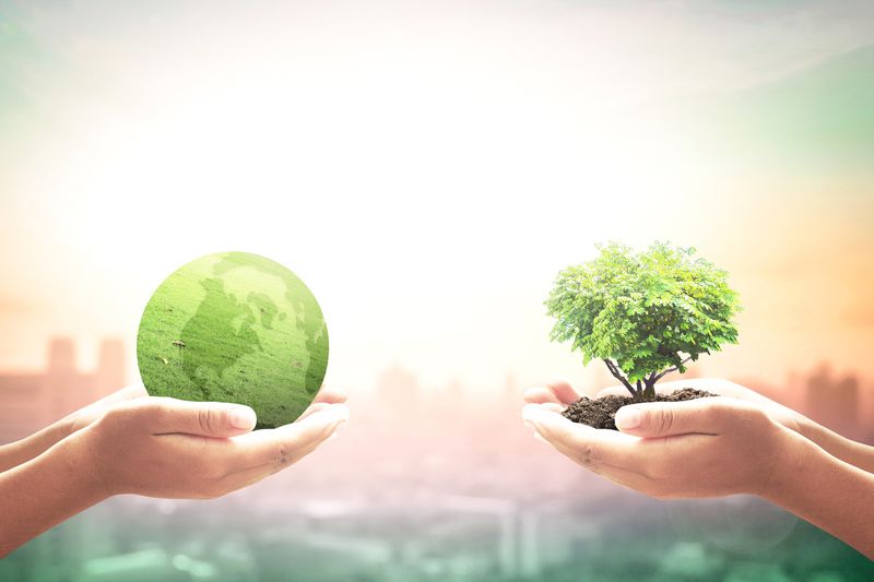 Two entrepreneur hands holding heart shape of big tree and Earth globe of grass.