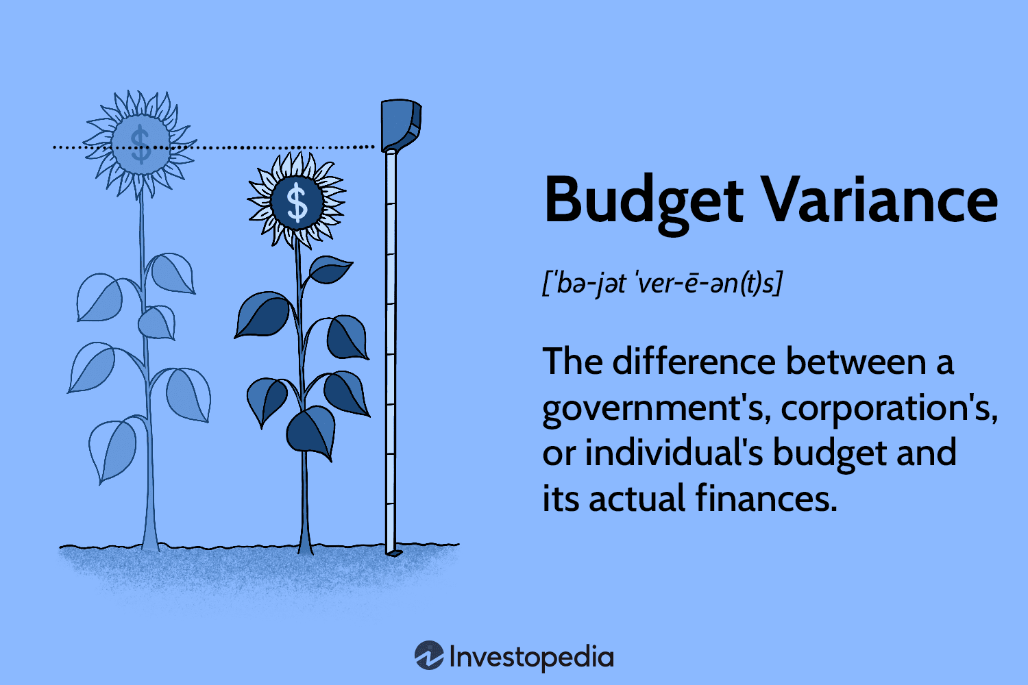 Budget Variance