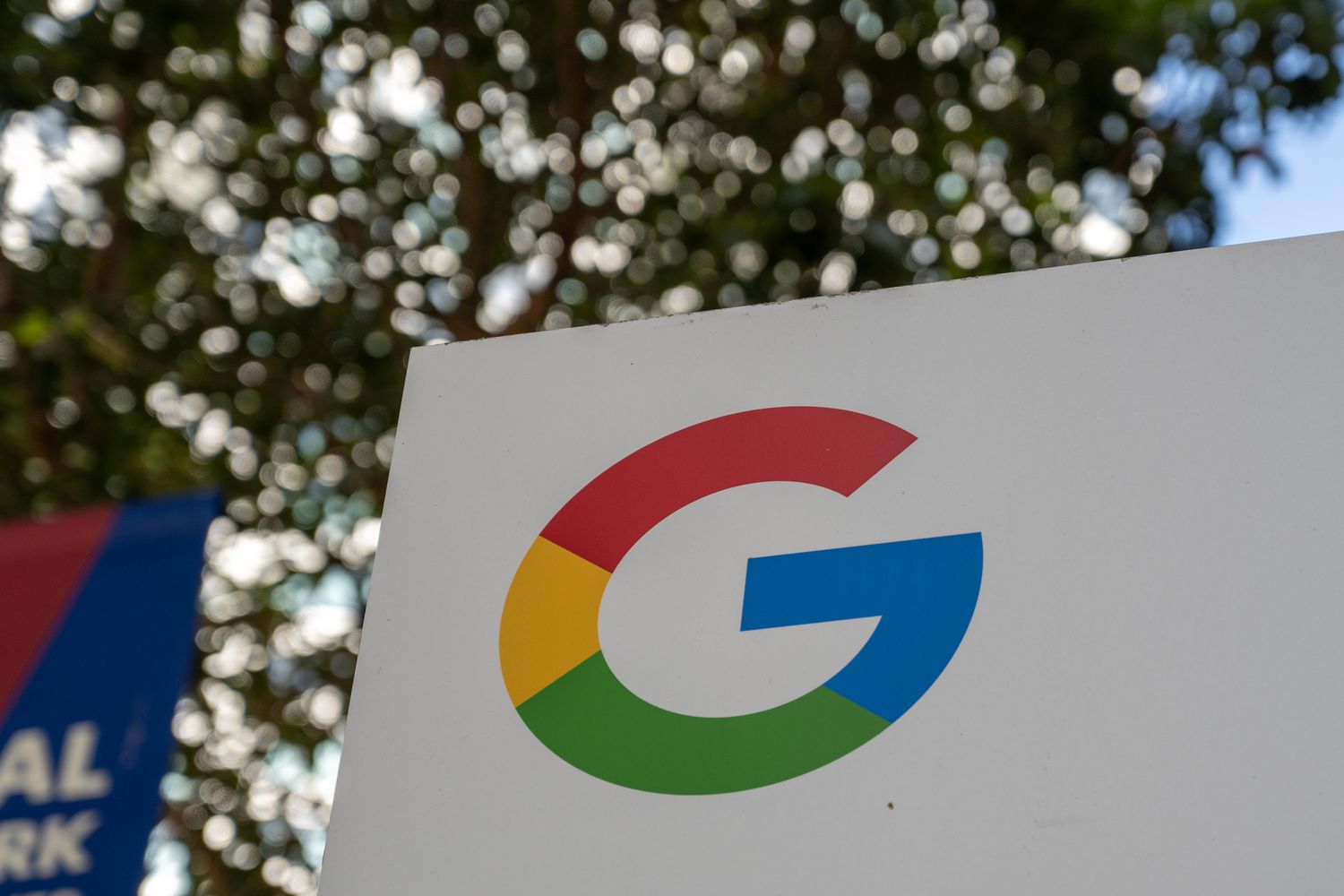 Close-up of a Google logo sign with tree foliage in the background, located in the Embarcadero neighborhood, San Francisco, California, June 7, 2024. 