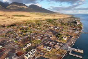 An aerial view of vegetation regrowth amid areas destroyed or damaged by the Lahaina wildfire, including the iconic banyan tree (RIGHT C), on August 4, 2024 in Lahaina, Hawaii