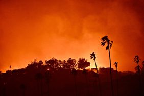 Homes burn above Pacific Coast Highway near Will Rodgers State Beach during the Palisades Fire on Jan. 8, 2025, in Pacific Palisades, California