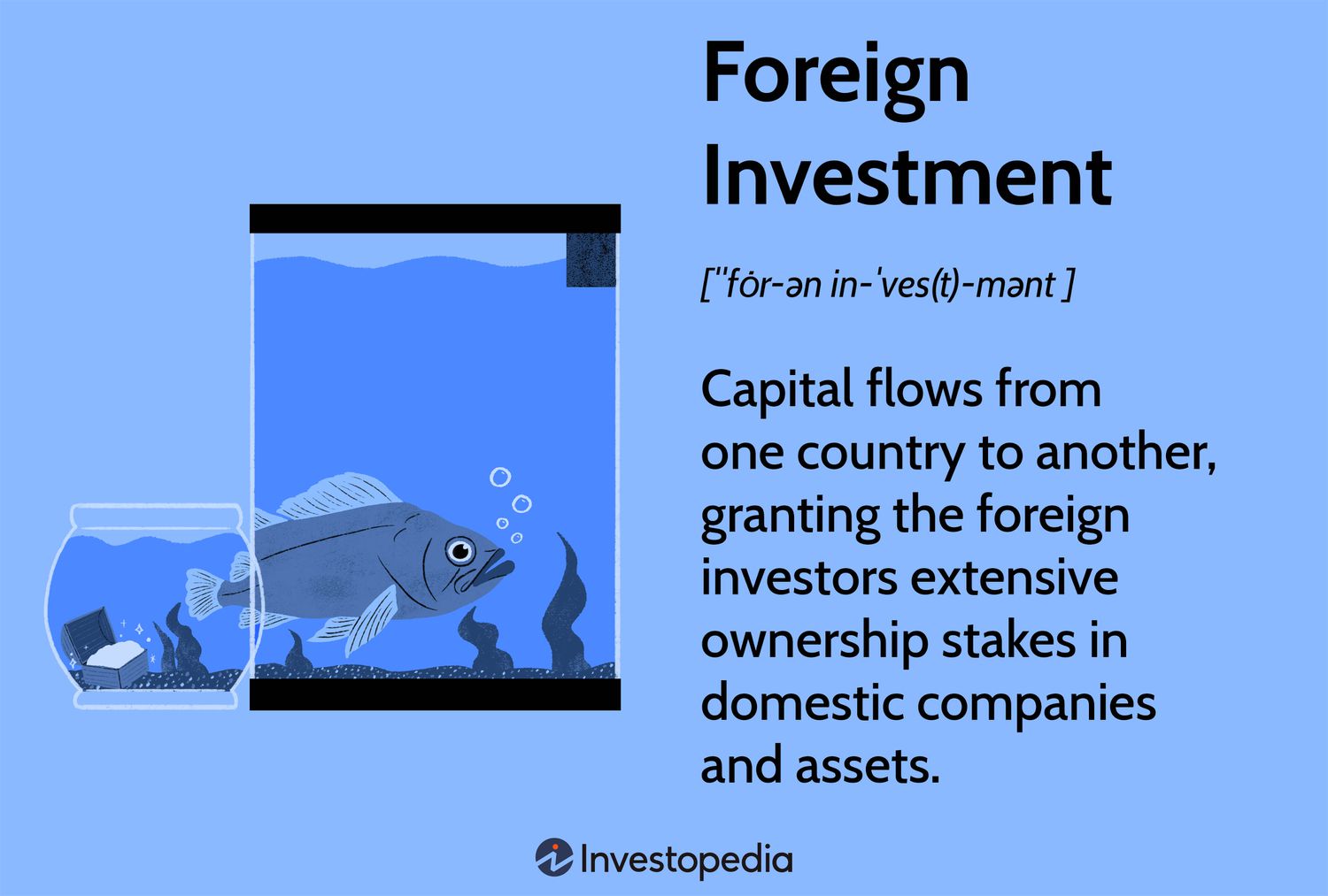Foreign Investment: Capital flows from one country to another, granting the foreign investors extensive ownership stakes in domestic companies and assets.
