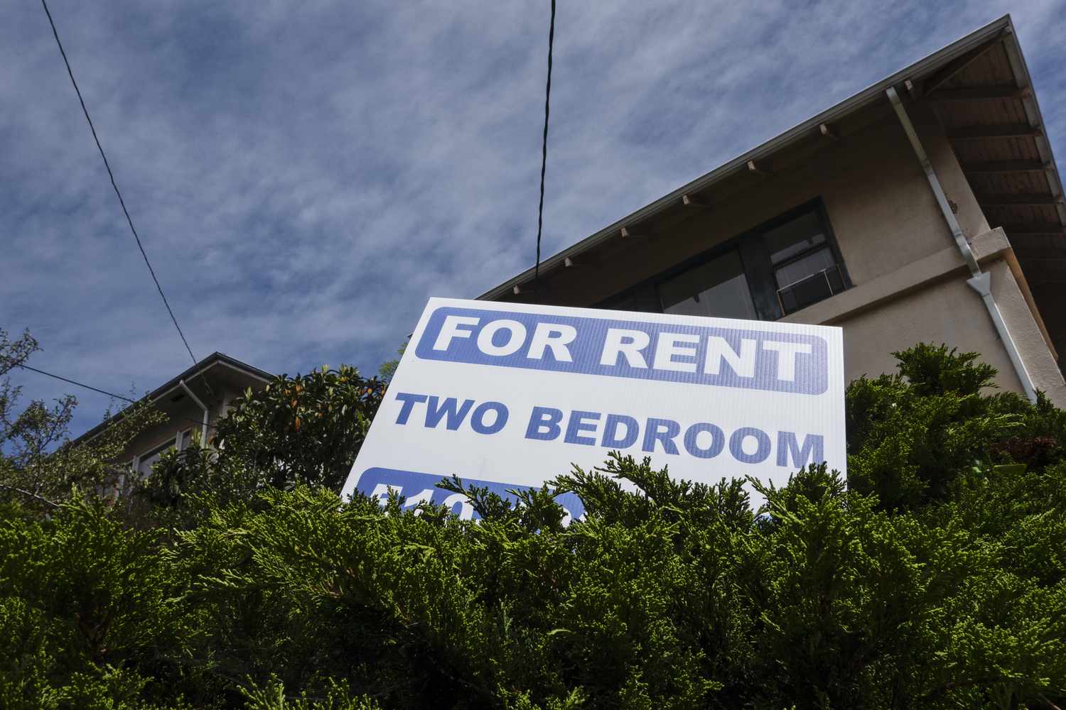A "For Rent" sign in a bush near a building. 
