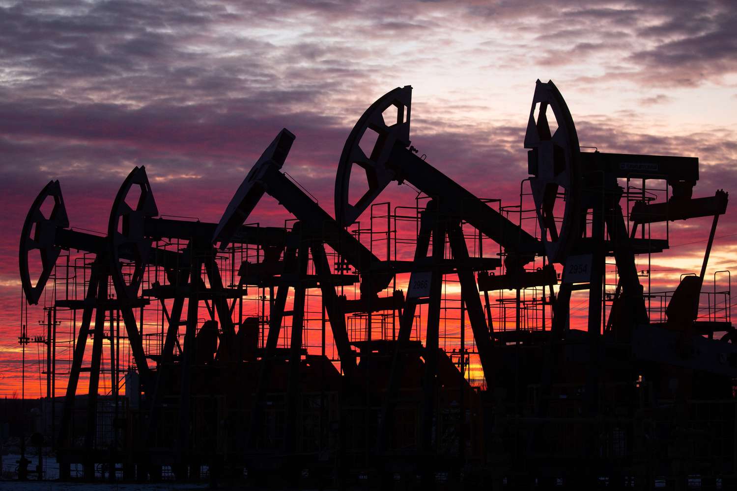 Oil pumping jacks in an oil field at sunset in Russia. 