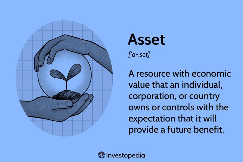 Asset