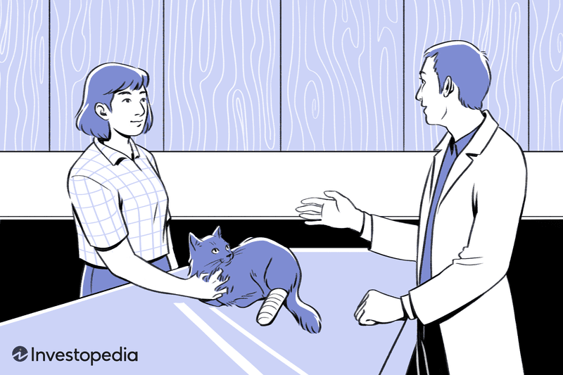 Pet Insurance from the Veterinarian's Perspective