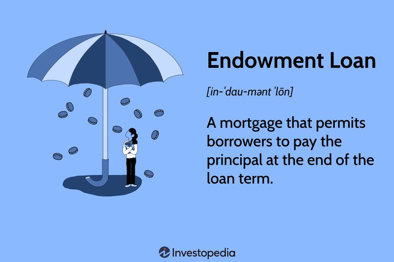 Endowment Loan: A mortgage that permits borrowers to pay the principal at the end of the loan term.