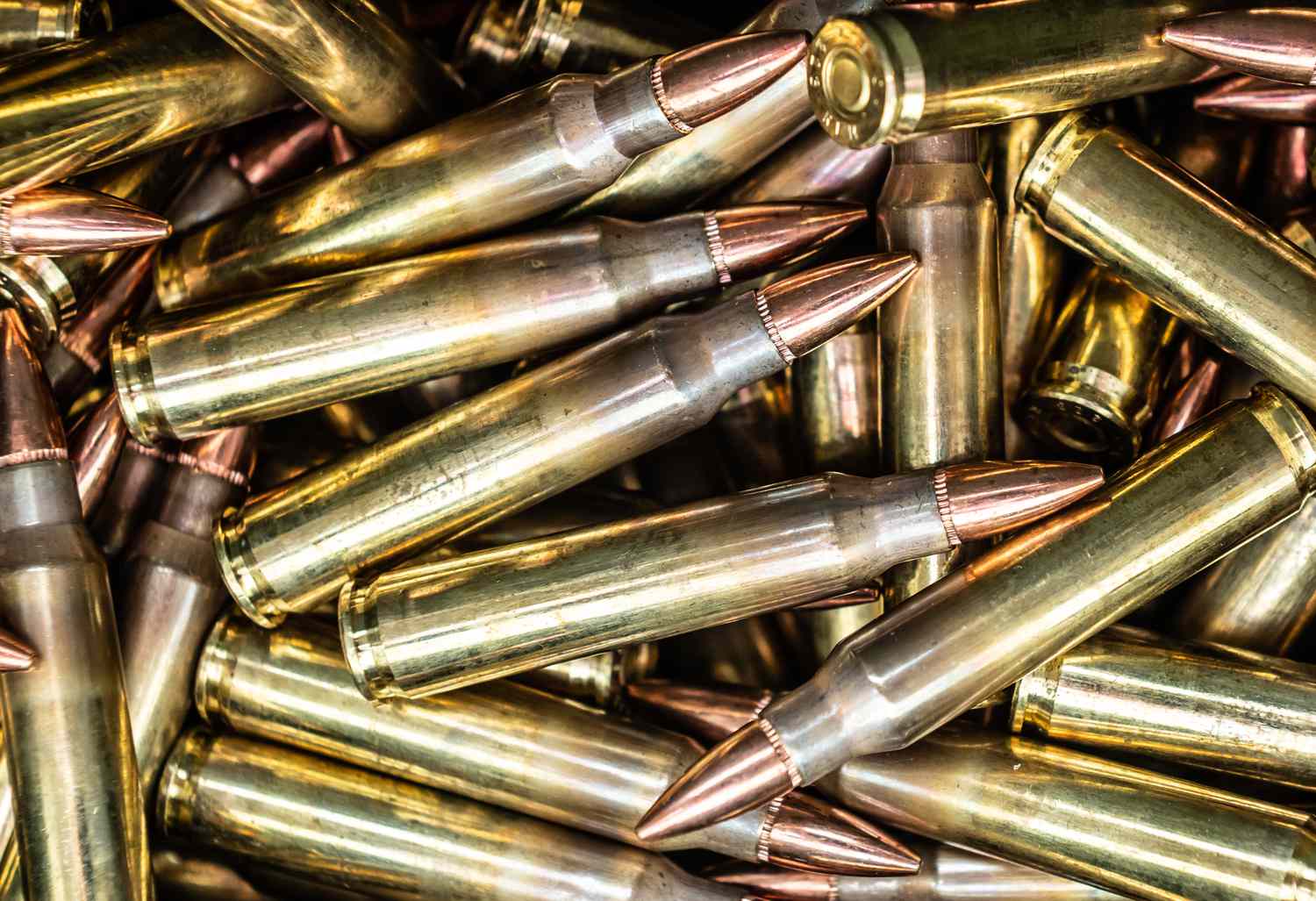 Cartridges in .223 Remington caliber lie in an ammunition box of a sports shooter 