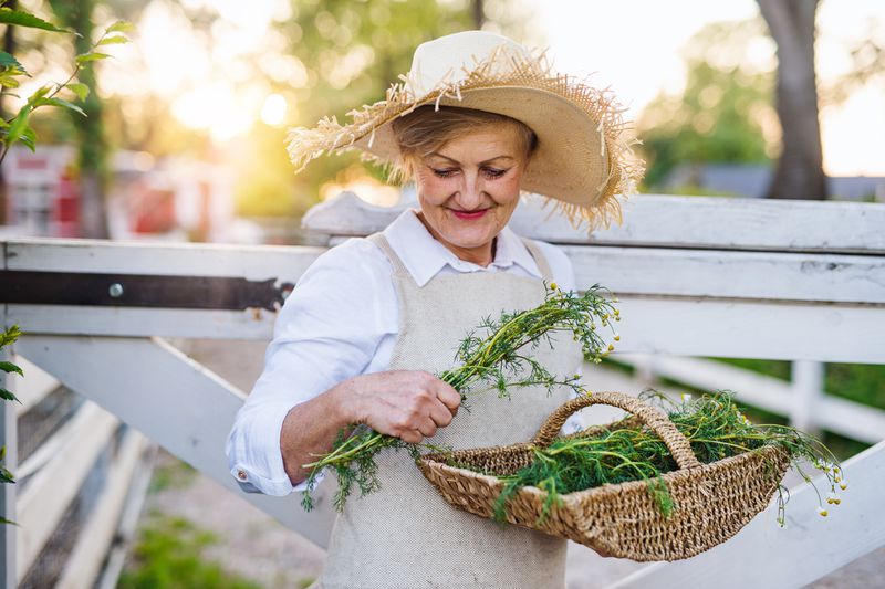Senior woman walking outdoors on farm, holding basket with herbs.