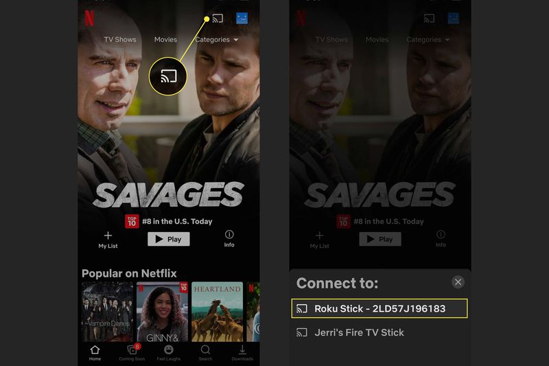 Casting Netflix to a Roku device on an iPhone.
