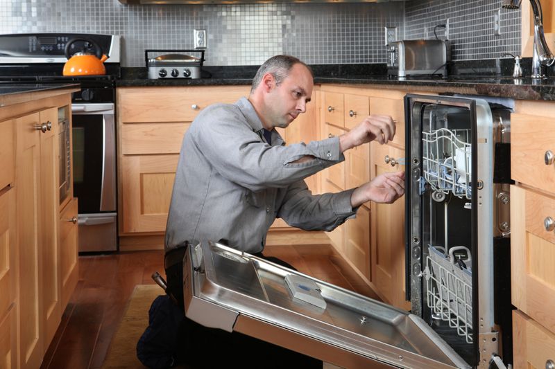Appliance Repairman