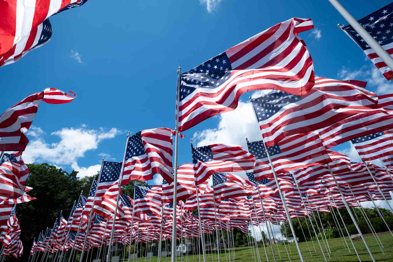 Multiple American flags flying on poles outside