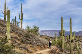Woman hiking in Phoenix, Arizona with mountain views and cacti aroundl