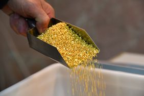 A worker scoops up granules of gold at a refining plant in Russia