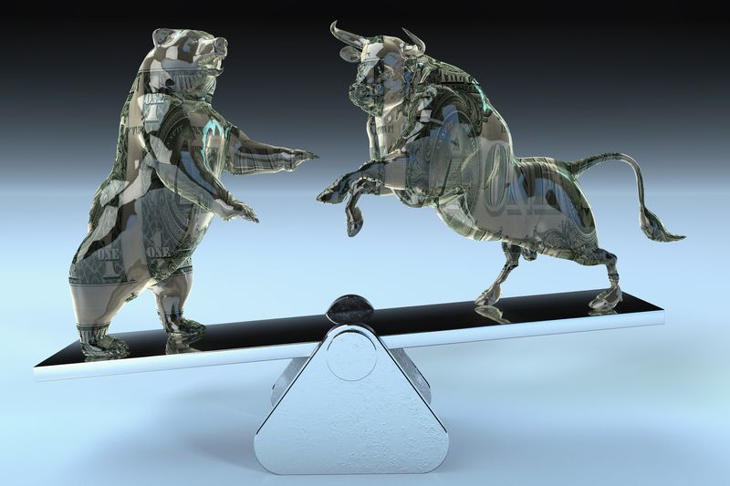 Bull and bear balancing on seesaw