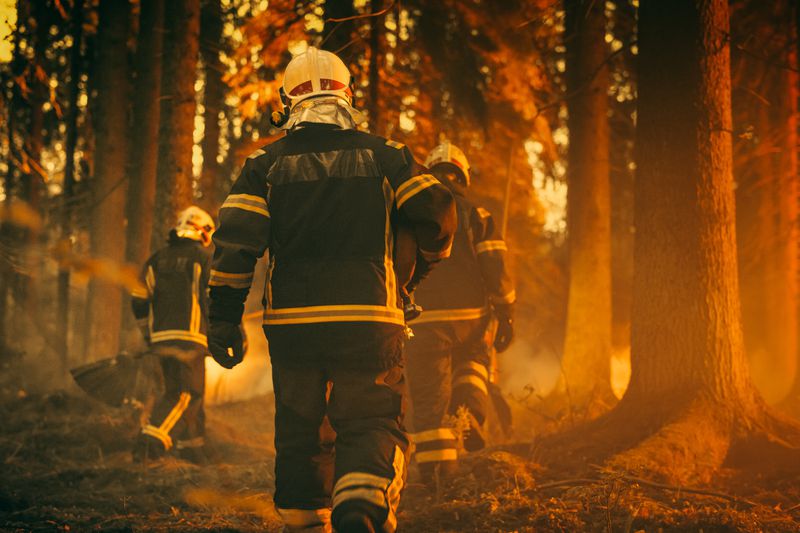 Firefighters fighting wildfires