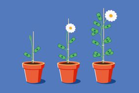 Three potted plants at different growth stages with dollar bills attached, symbolizing financial growth and investment over time.