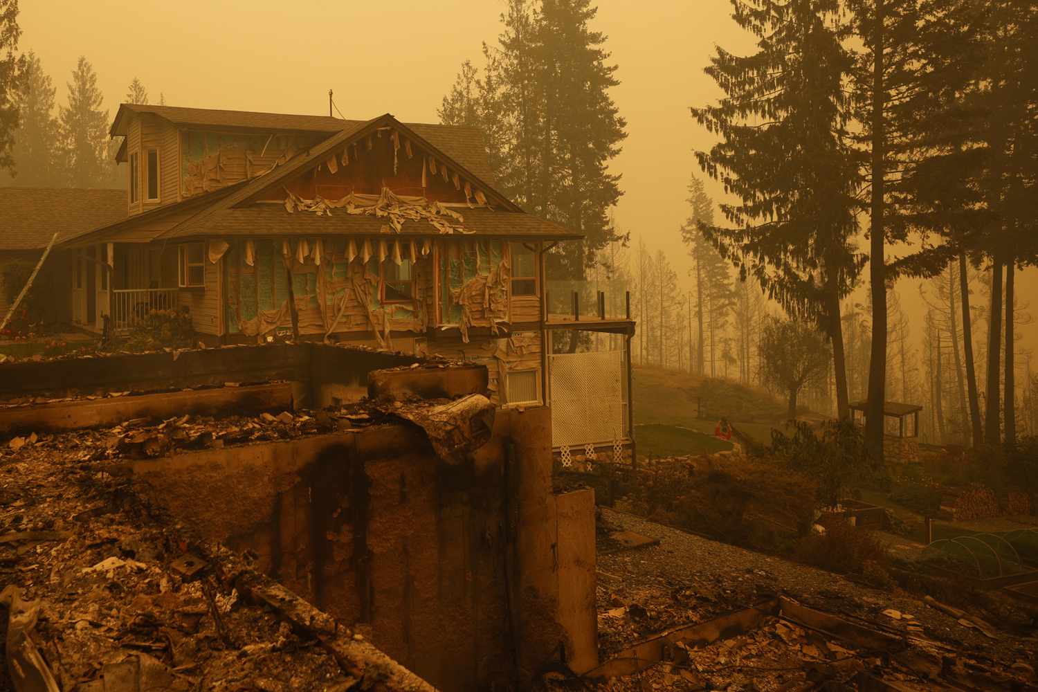 Property and homes razed by a wildfire in Celista, British Columbia, Canada, on Saturday, Aug. 19, 2023.