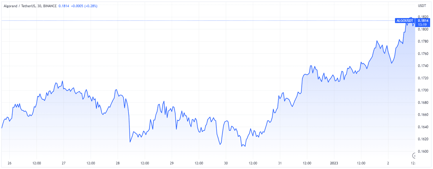 ALGO (TradingView)