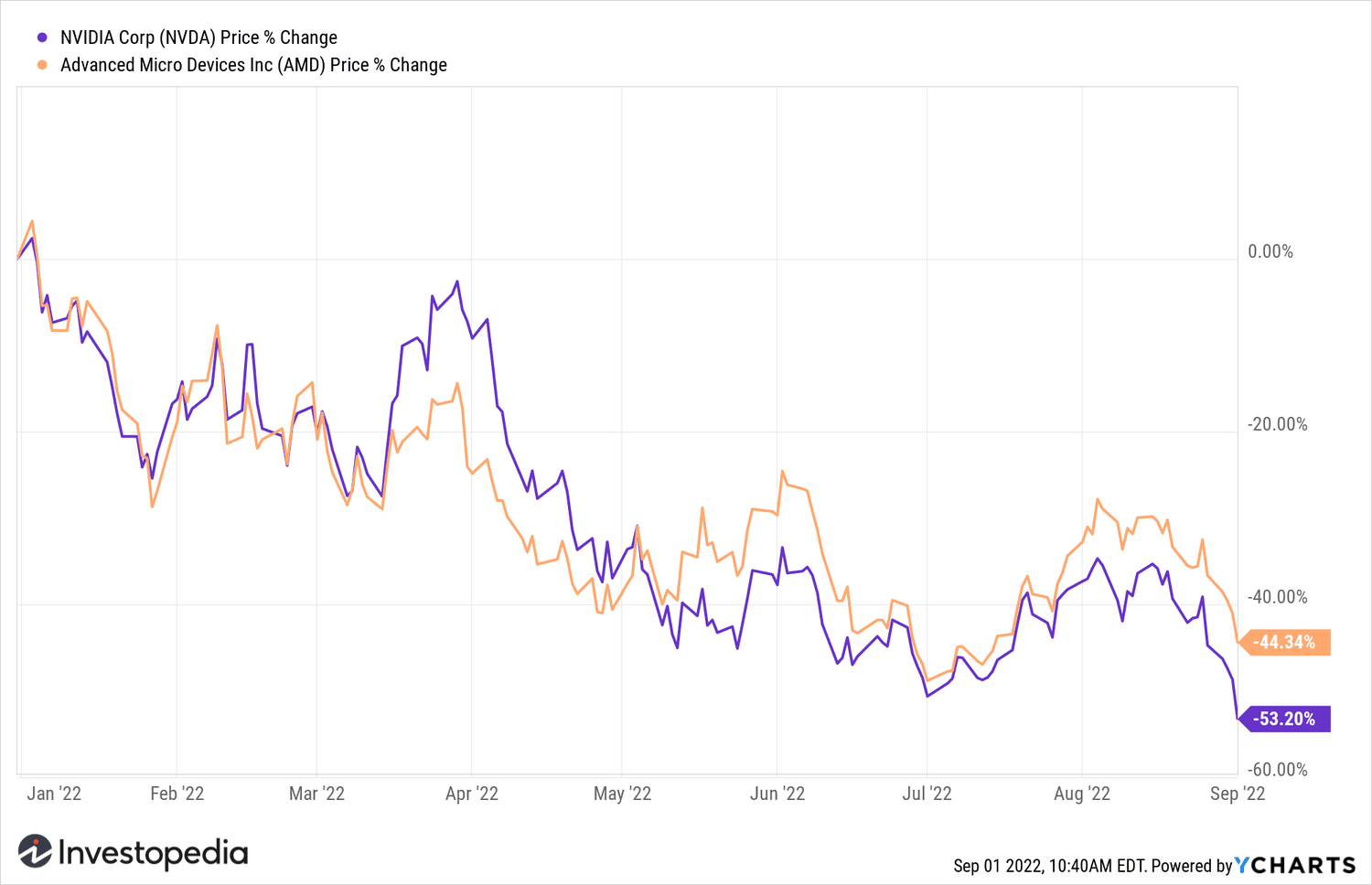 NVIDIA and AMD Stock YTD