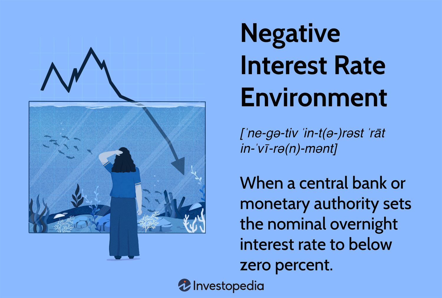Negative Interest Rate Environment
