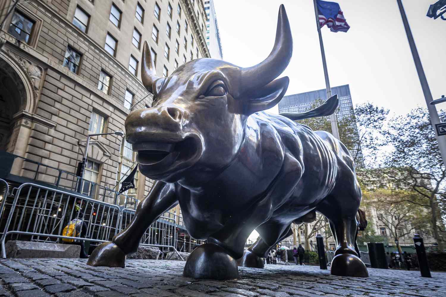 The Charging Bull bronze sculpture, also known as Wall Street Bull or Bowling Green Bull in New York City .