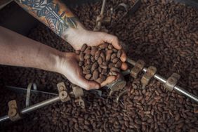 A person holds cocoa beans at a chocolate factory in Paris.