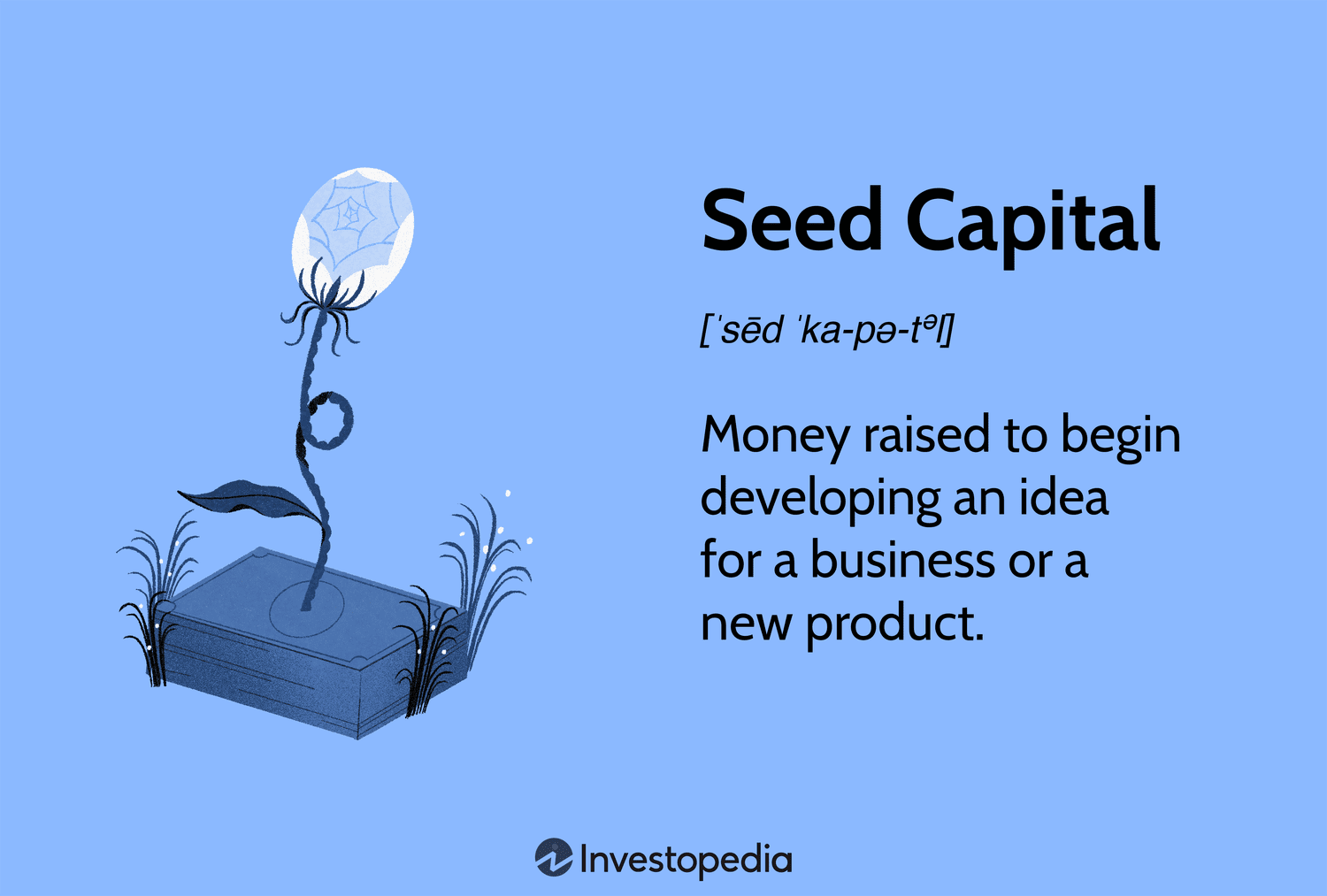 Seed Capital