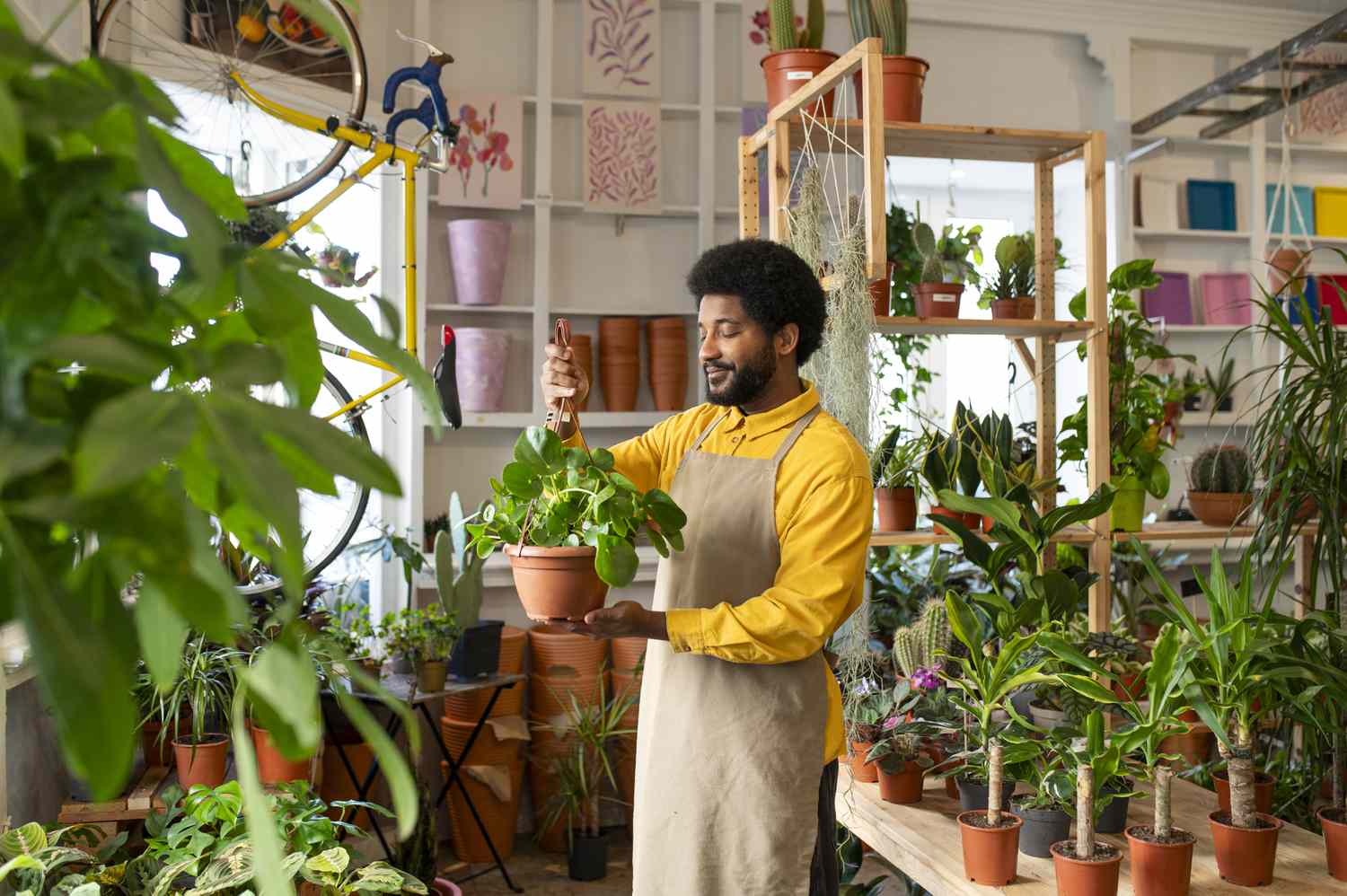 Botanist holding plant at store