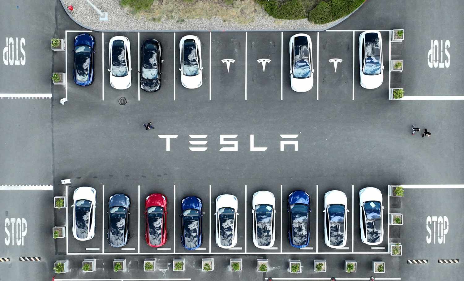An aerial view of Teslas parked in a lot. 