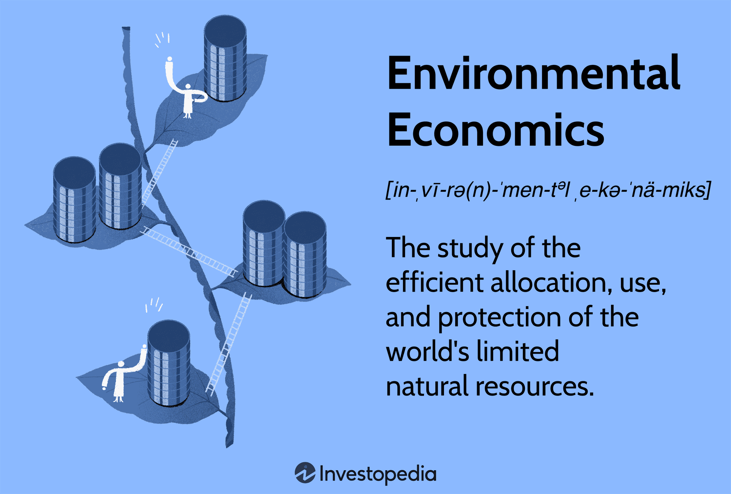 Environmental Economics