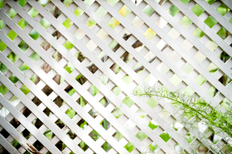 White fence