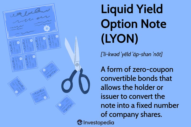 Liquid Yield Option Note (LYON)