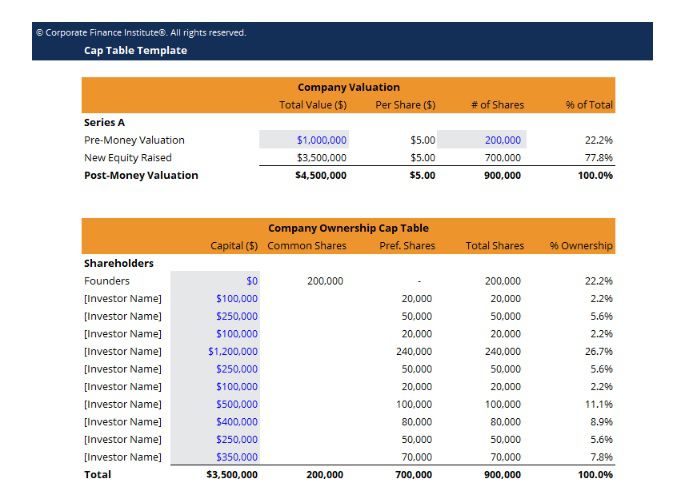 Capitalization Table