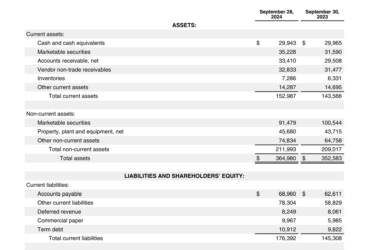 Apple 2024 Balance Sheet
