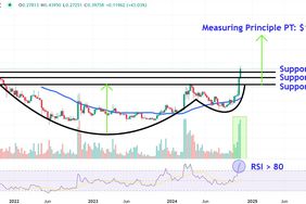This image depicts the DOGE chart.