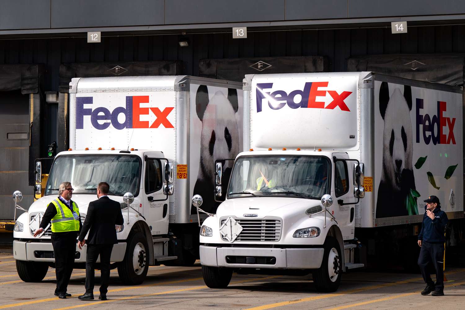 A pair of FedEx trucks wait to transport a pair of 3 year old Giant Pandas, Bao Li and Qing Bao, after they arrive on a FedEx Boeing 777 plane from China at Dulles International Airport on October 15, 2024