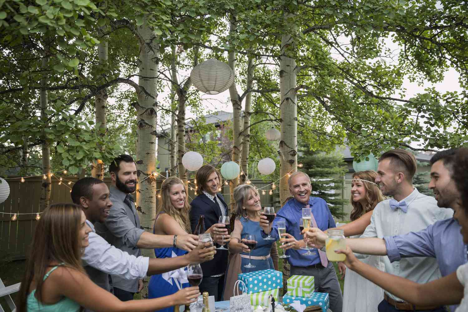 Friends family toasting bride groom backyard wedding reception