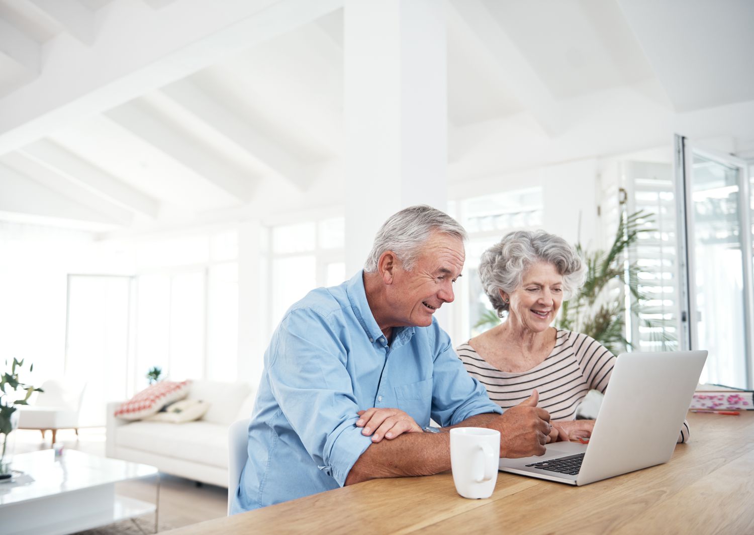 Older couple with a computer
