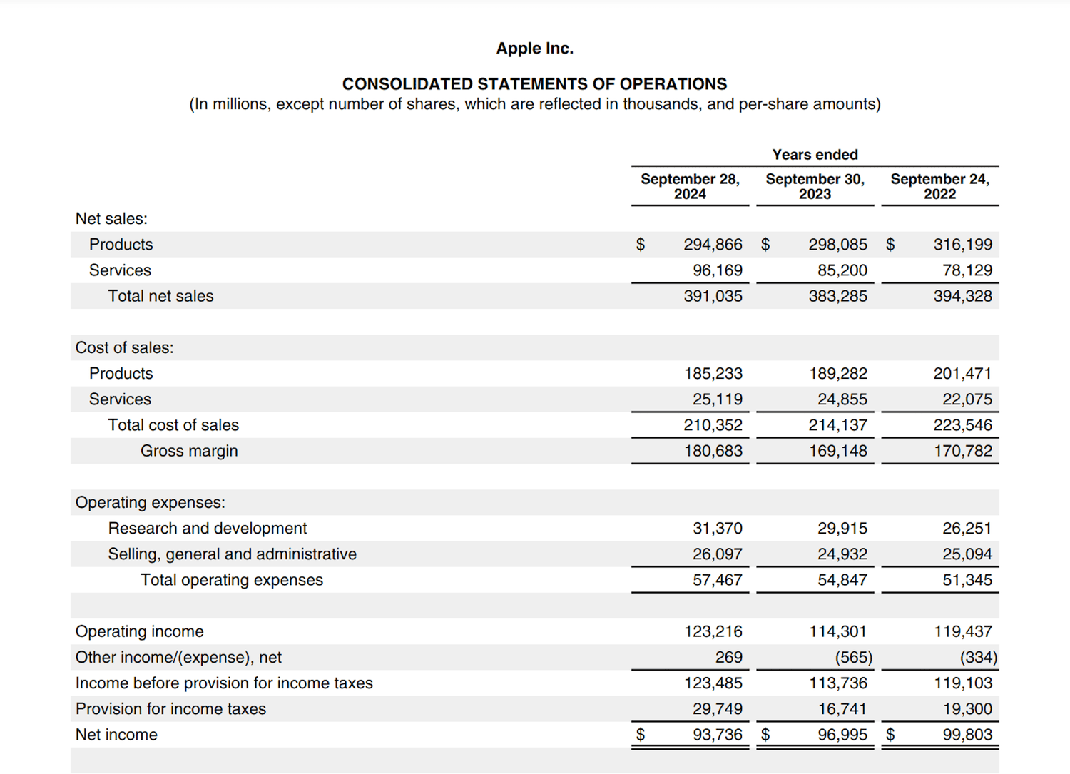 Apple Inc. 2024 Statements of Operations.png