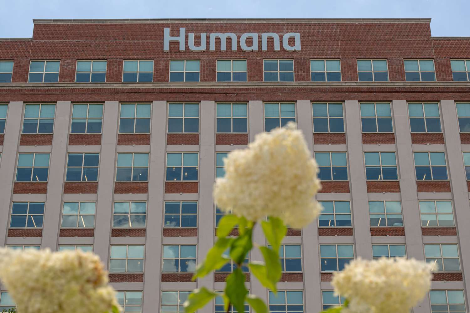 A Humana office in Louisville, Kentucky.